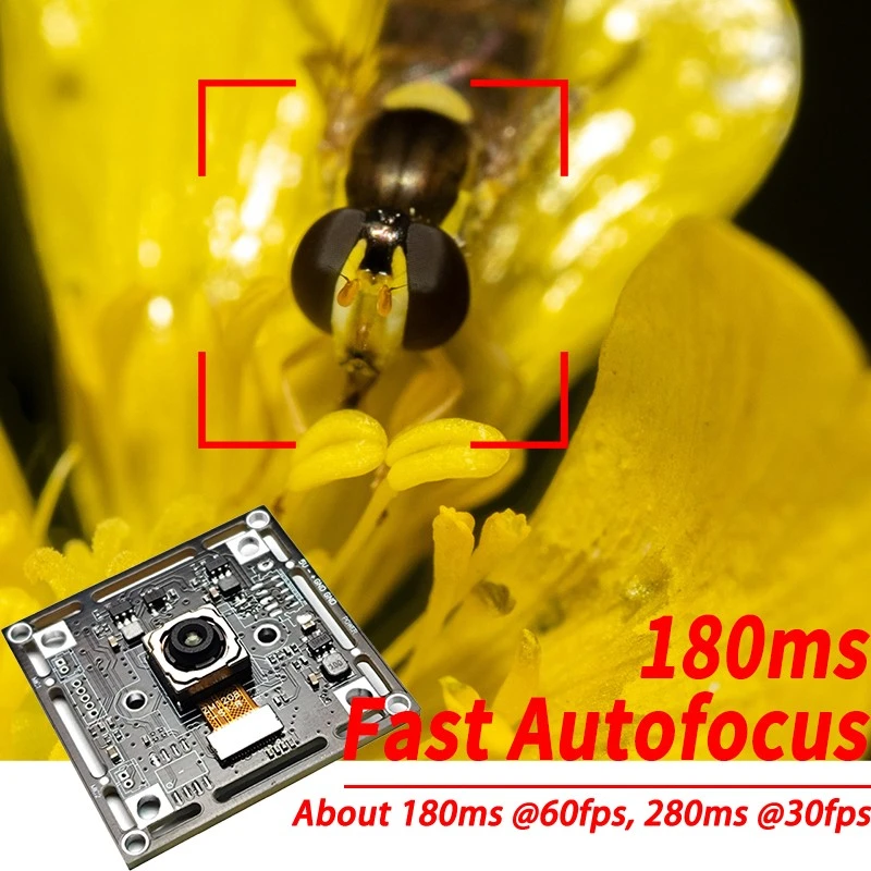 Raspberry Pi Camera 12MP best